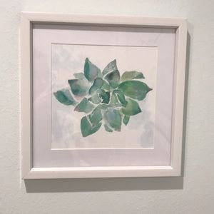 Framed picture of a succulent